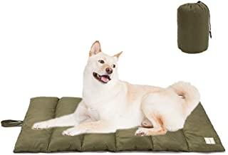 outdoor dog bed reviews